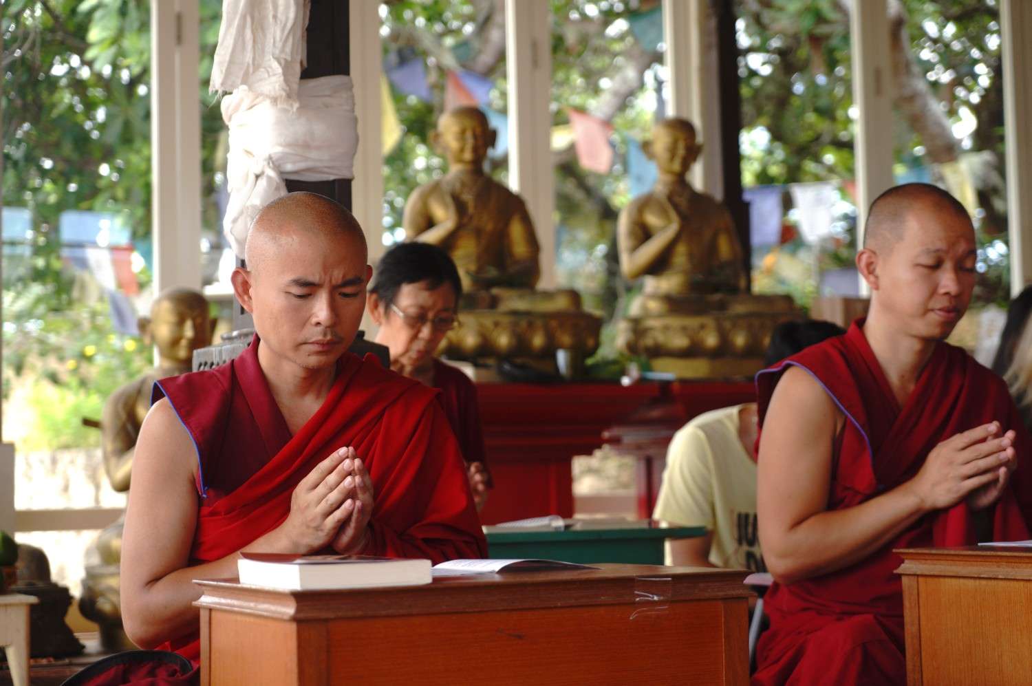Gallery Dharma