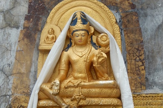 Tara di Indonesia