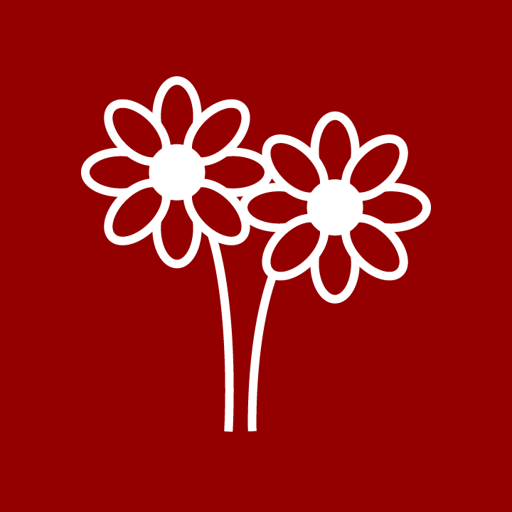 Bunga
